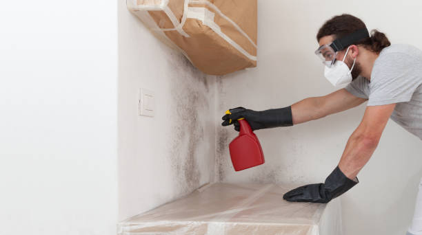 Professional Mold Remediation technician working in Island Lake, IL