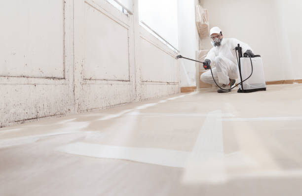 24/7 Emergency Mold Remediation experts in Island Lake, IL